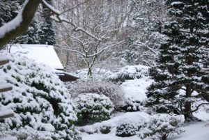 Schnee im Garten